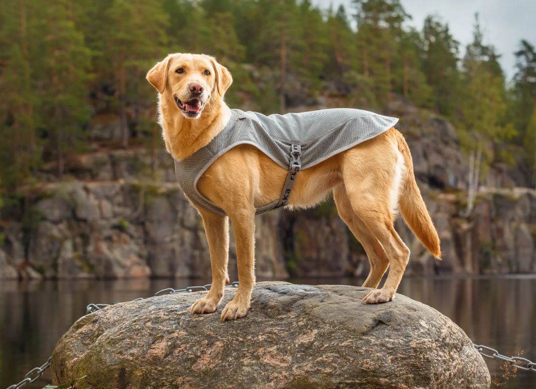Rukka Cooling Vest