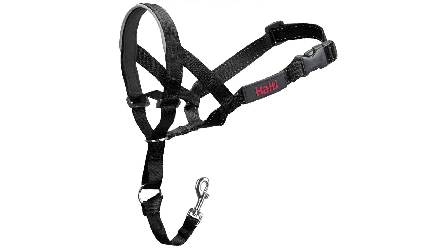 Halti Λουρί/Οδηγός Σκύλου Εκπαίδευσης Headcollar Νο2 Μαύρο (35-48cm)