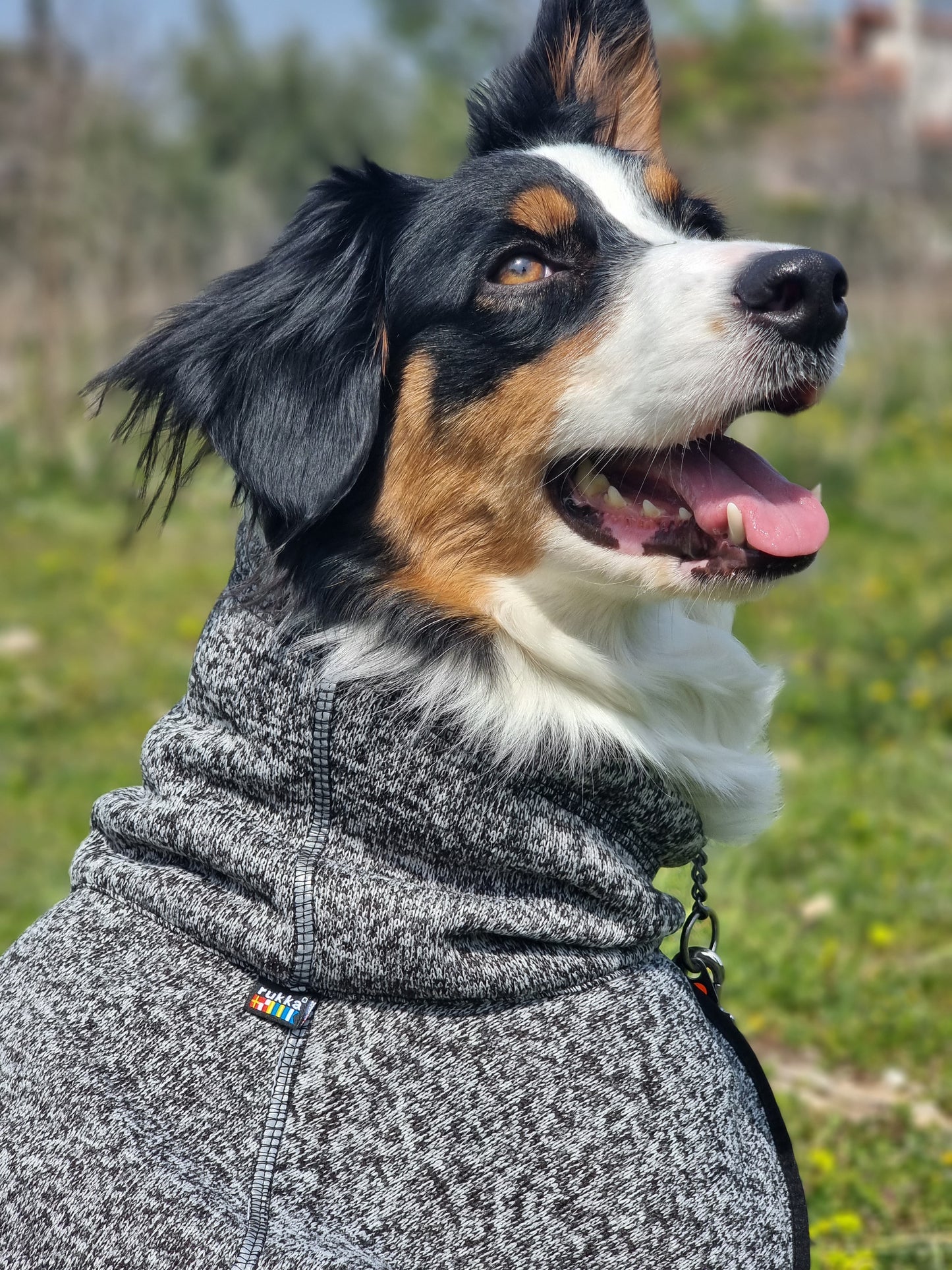 COMFY KNIT JACKET GREY