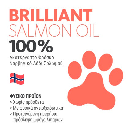Pet Camelot Brilliant Λάδι Σολομού Σκύλου 300ml
