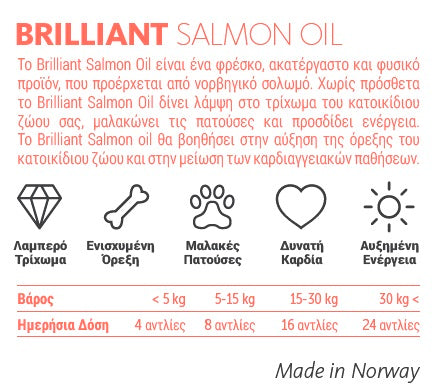 Pet Camelot Brilliant Λάδι Σολομού Σκύλου 300ml