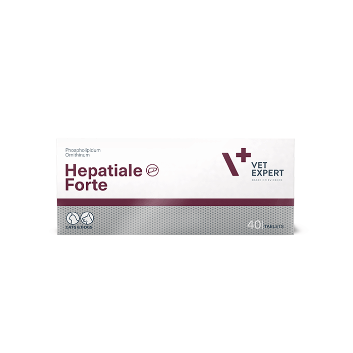 Hepatiale Forte 40 δισκία