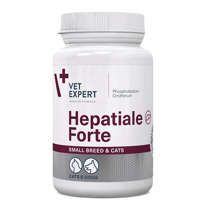 Hepatiale Forte sb & c 40 κάψουλες twist off