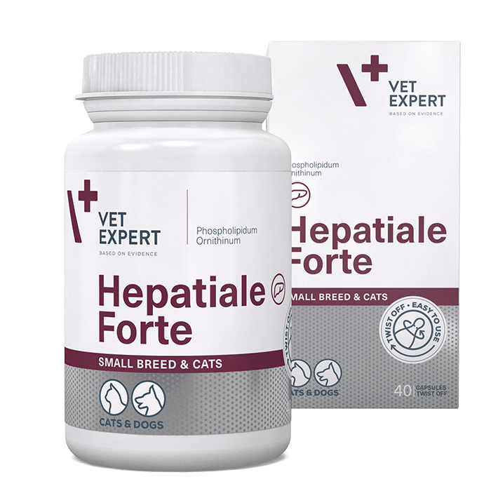 Hepatiale Forte sb & c 40 κάψουλες twist off