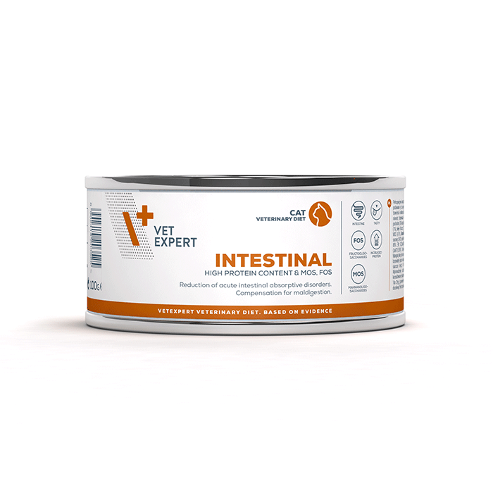 4T Intestinal cat 100 gr κονσερβάκι