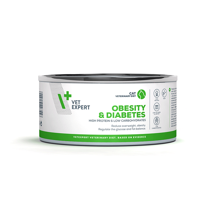 4T Obesity cat 100 gr κονσερβάκι