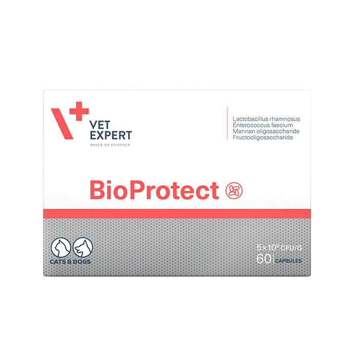 Bioprotect 60 κάψουλες