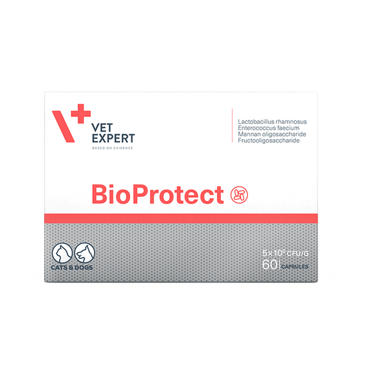 Bioprotect 60 κάψουλες