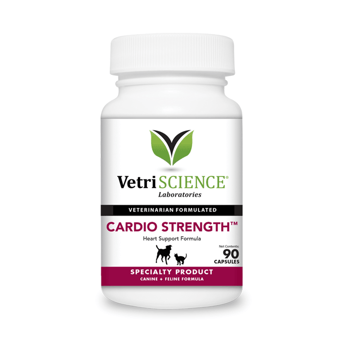 Cardio strength 90 κάψουλες