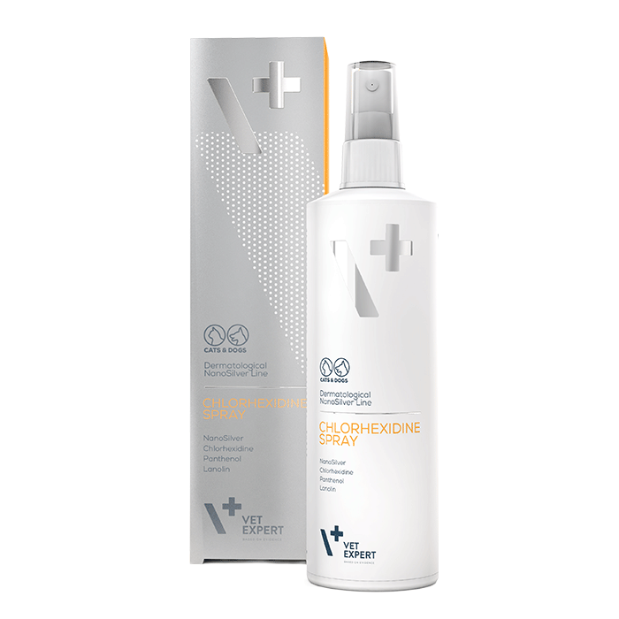 Spray Chlorexidine 100 ml