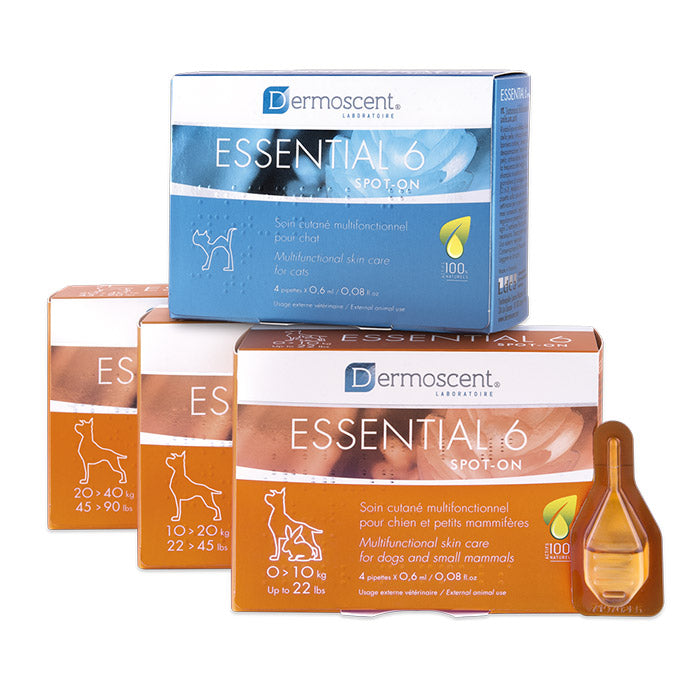 Dermoscent Essential 6 spot-on dogs 1-10 kg 4X0,6 ml