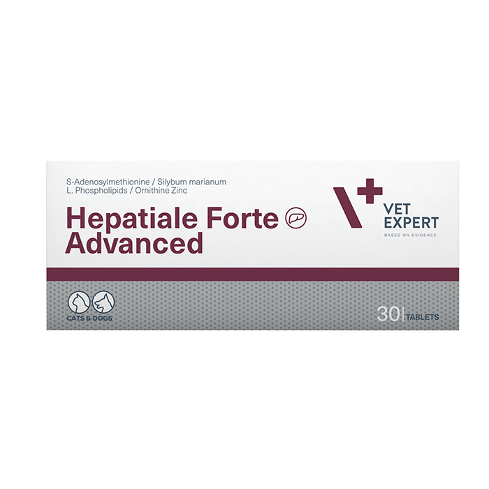 Hepatiale Forte Advanced 30 δισκία