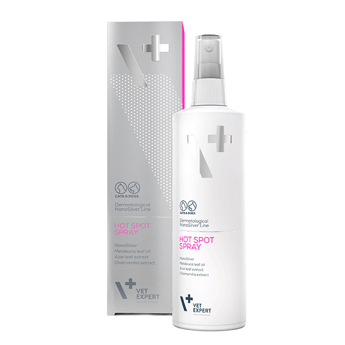Spray Hotspot 100 ml