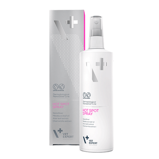 Spray Hotspot 100 ml
