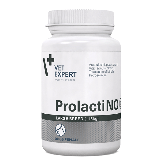 ProlactiNO Large breed 40 δισκία