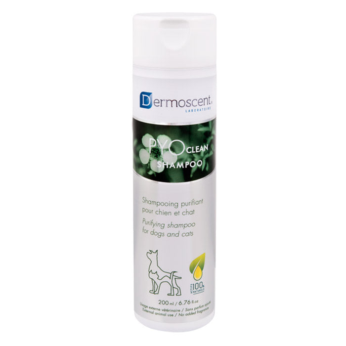 Dermoscent PYOclean Shampoo 200 ml
