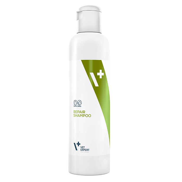 Shampoo Repair 250 ml