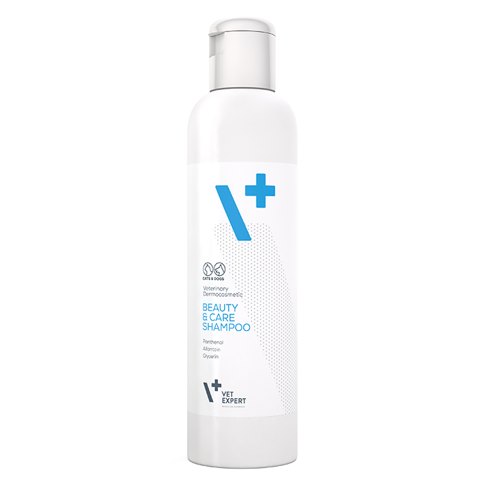 Shampoo Beauty & Care 250 ml