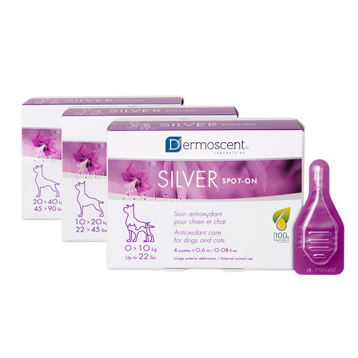 Dermoscent SILVER spot-on 20-40 kg 4X2,4 ml