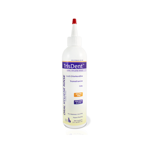 TrisDent Rinse 237 ml