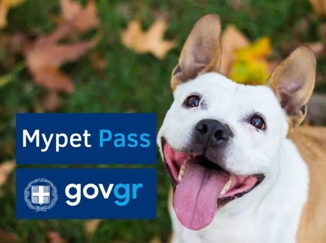 Τι είναι το Mypet–pass και τι θα περιλαμβάνει το Εθνικό Μητρώο Ζώων Συντροφιάς