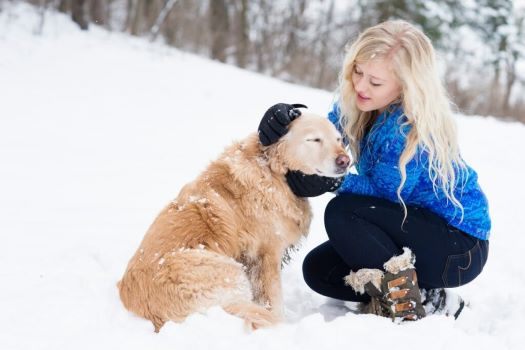 Σκύλος: Πόσο αντέχει έξω στο κρύο