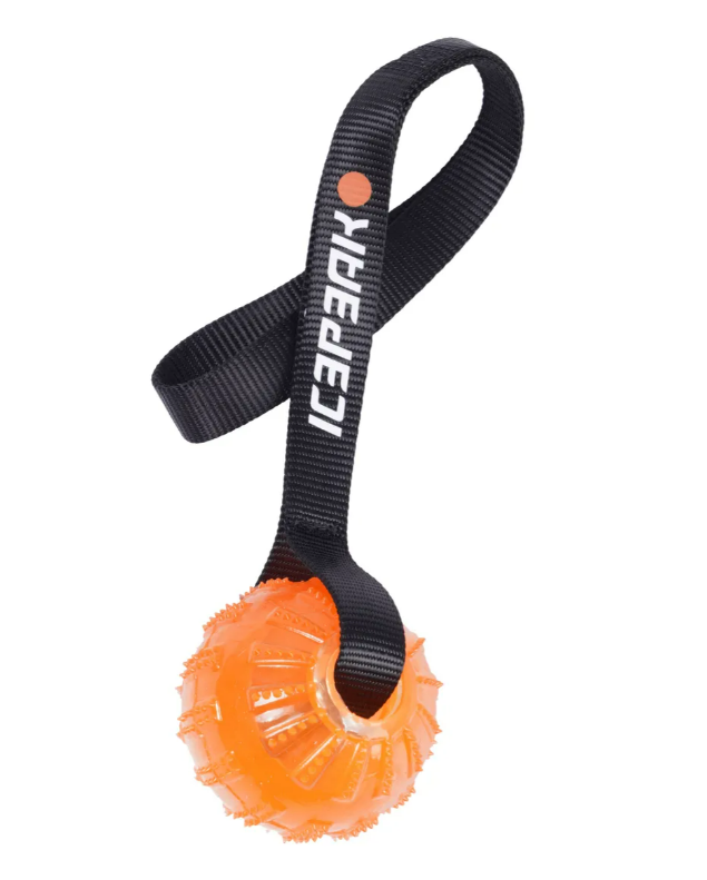 Icepeak Pet Gel ball with handle