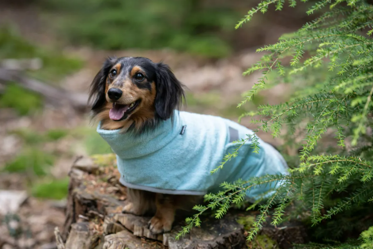 Μπουρνούζι σκύλου Icepeak Pet Splash