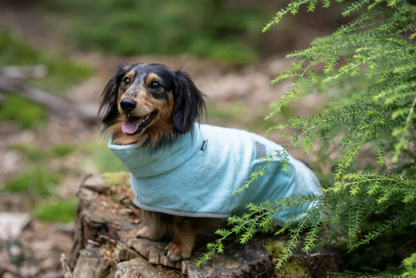 Μπουρνούζι σκύλου Icepeak Pet Splash