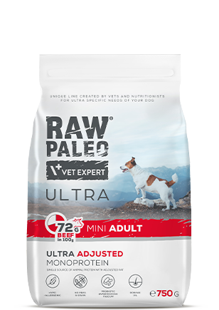 Dog Raw Paleo Ultra Adult mini 750 gr Beef