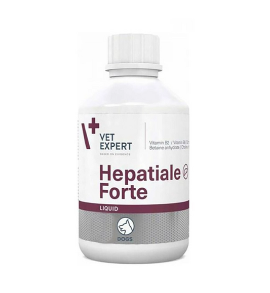 Hepatiale Forte Liquid 250 ml