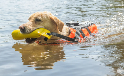 Rukka Pets Safety life vest