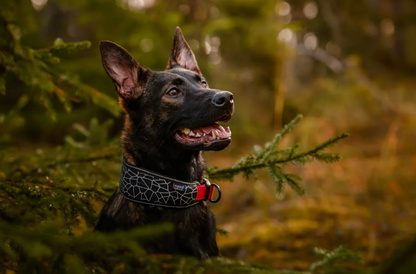 Rukka Pets Cube soft collar