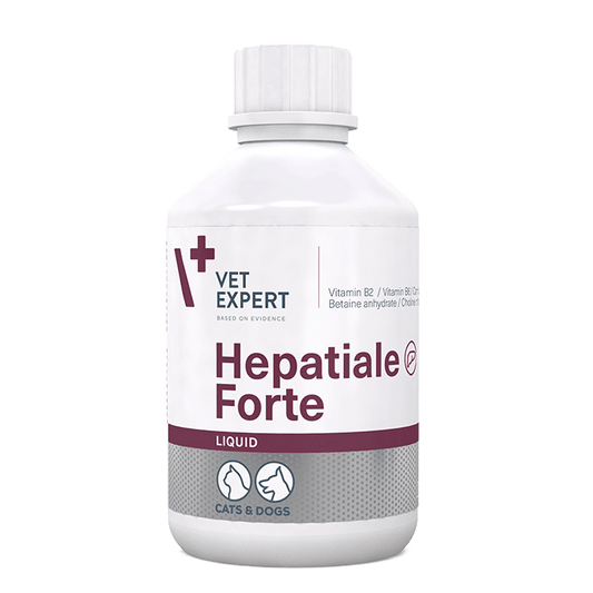 Hepatiale Forte Liquid 250 ml