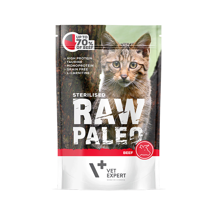 Cat Raw Paleo wet Sterilised Beef 100 gr