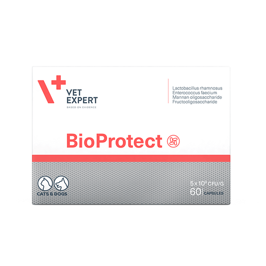 Bioprotect 60 κάψουλες