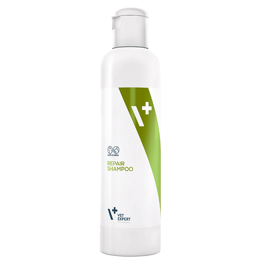 Shampoo Repair 250 ml