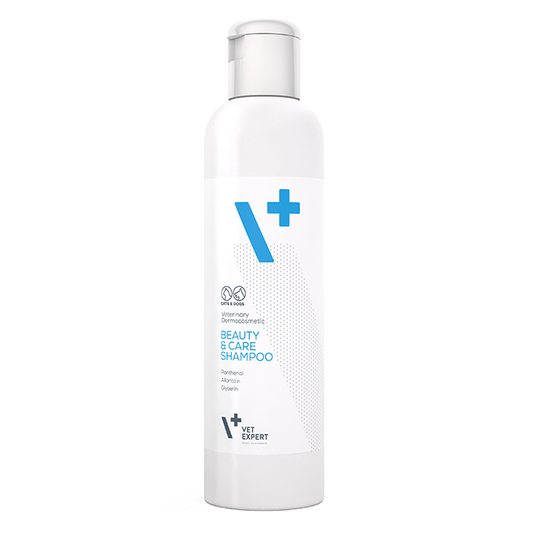 Shampoo Beauty & Care 250 ml